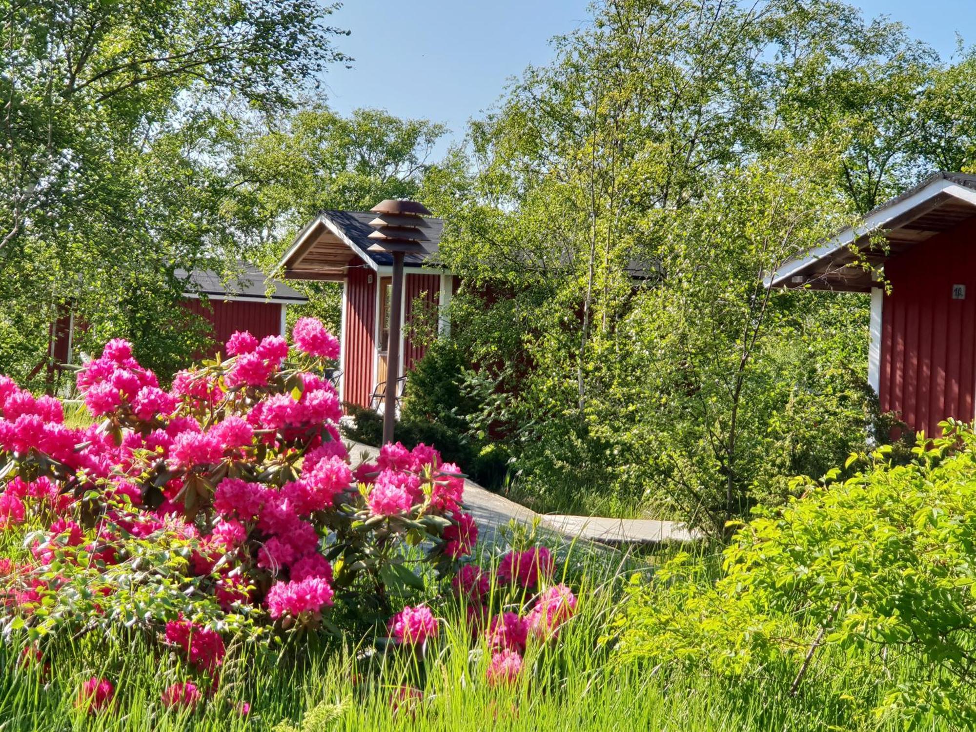 Koekar Havspaviljong Cottages Dış mekan fotoğraf